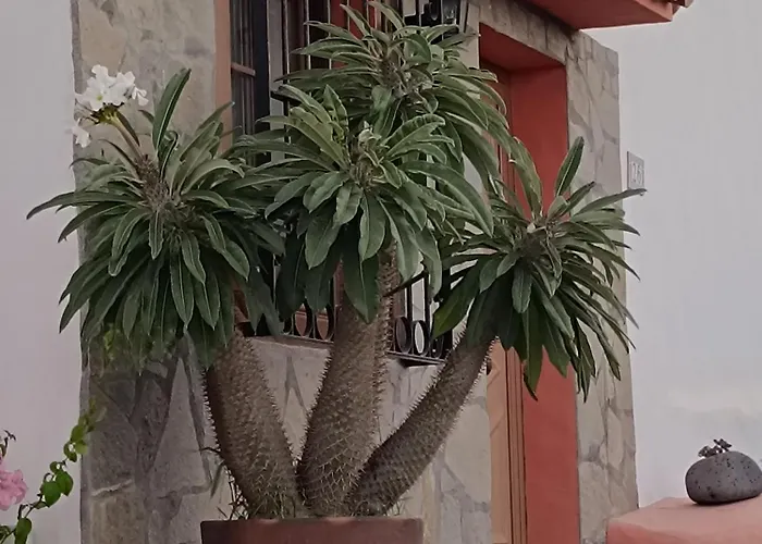 Feriehus Casa Acosta *